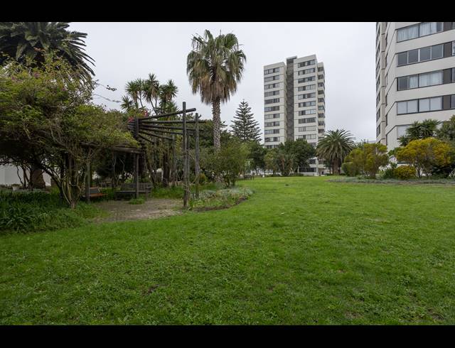 0.5 BEDROOM APARTMENT TO LET IN CLAREMONT
